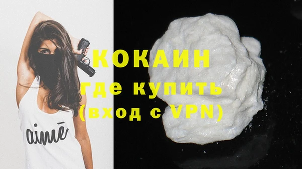 шишки Беломорск