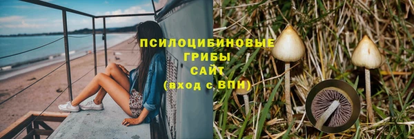 шишки Беломорск