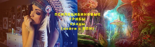 марки lsd Белокуриха