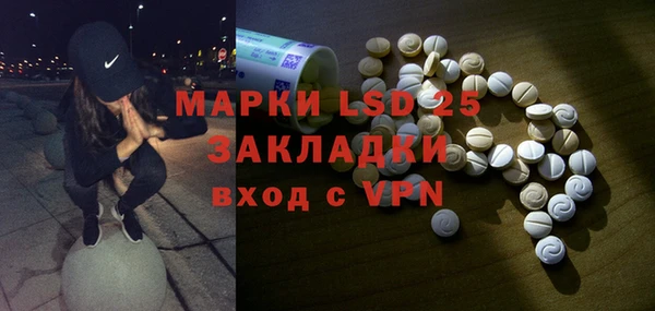 шишки Беломорск